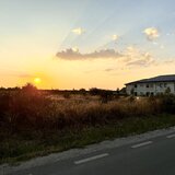 Carcea, Dolj
